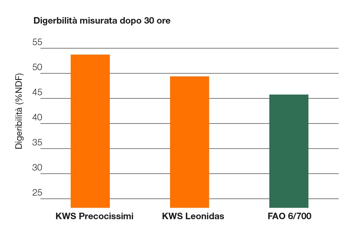 Grafico di confronto sulla digeribilità dell'insilato